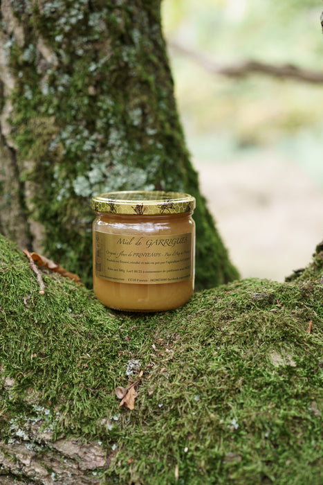 Garrigues honey