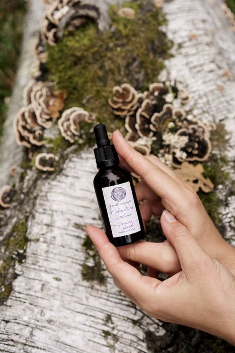 St John's Wort tincture