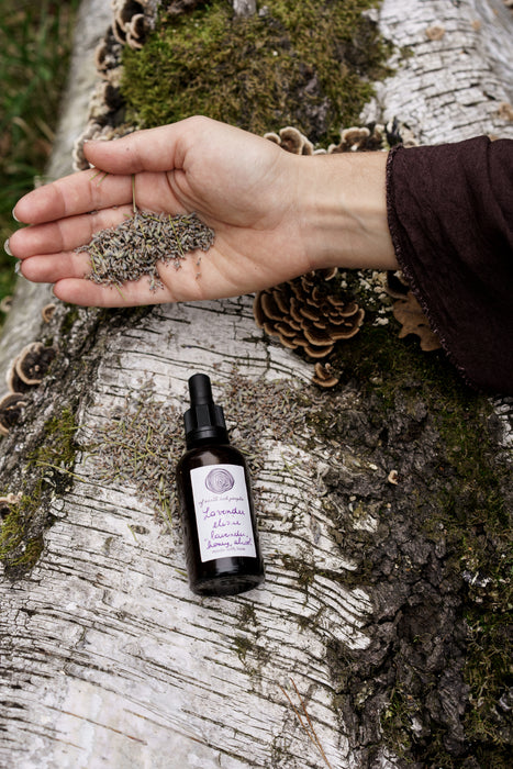 Lavender Elixir