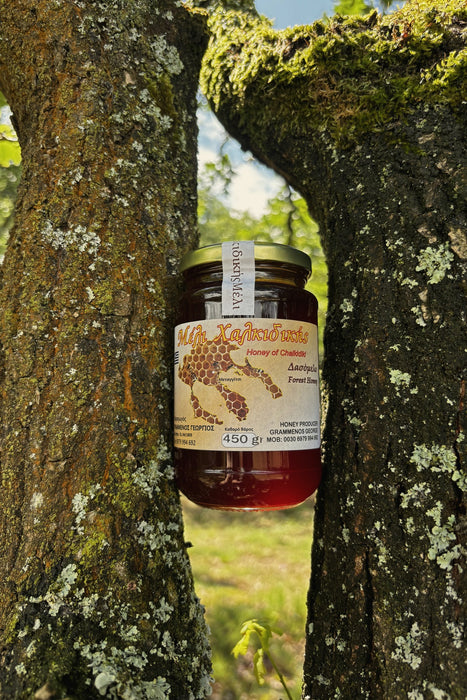 Greek Forest honey