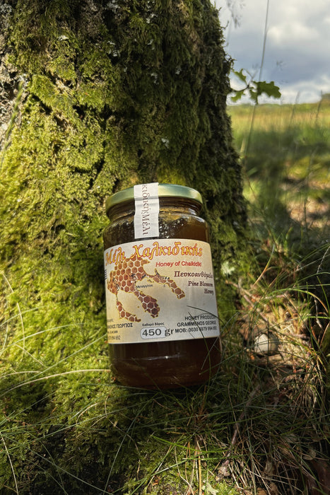 Greek Pine Blossom honey