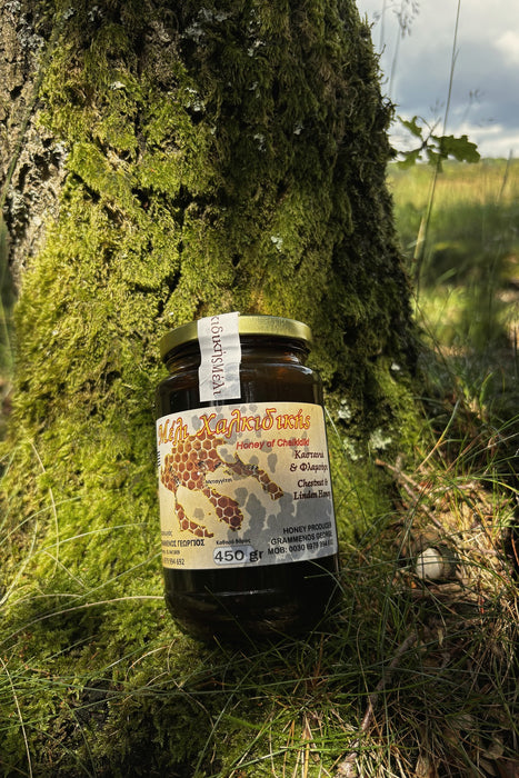 Greek Chestnut & Linden honey
