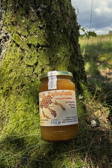 Greek Blossom honey
