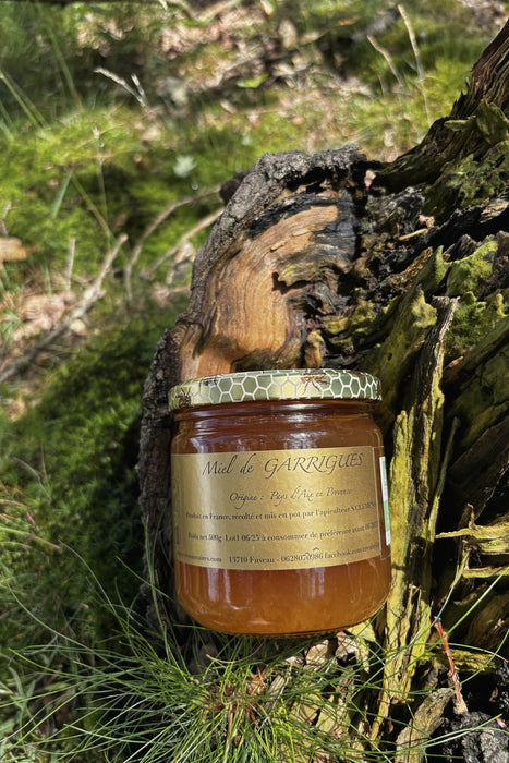 Garrigues honey (2026)
